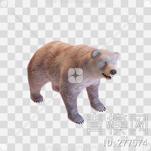 熊3D模型下载【ID:277574】