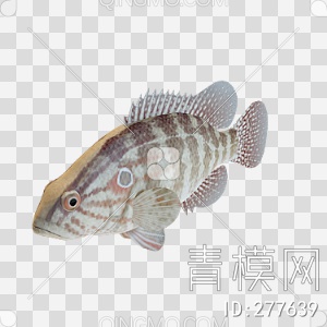 鱼3D模型下载【ID:277639】