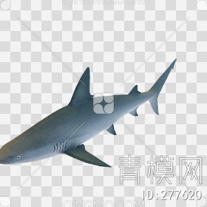 鱼3D模型下载【ID:277620】