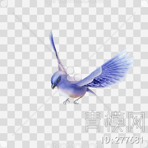 鸟3D模型下载【ID:277681】