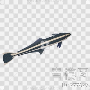 鱼3D模型下载【ID:277629】