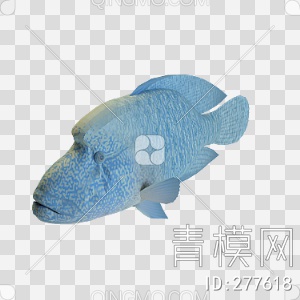 鱼3D模型下载【ID:277618】