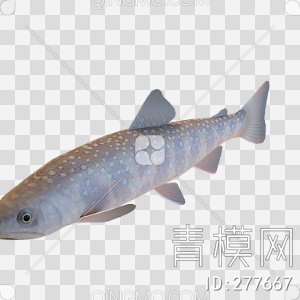 鱼3D模型下载【ID:277667】