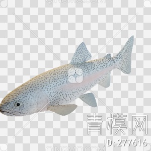 鱼3D模型下载【ID:277616】