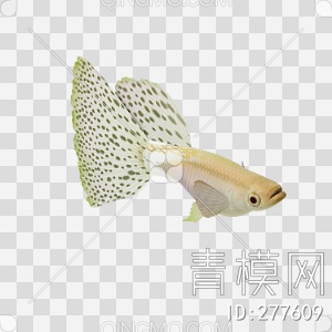 鱼3D模型下载【ID:277609】