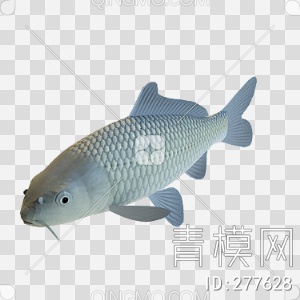 鱼3D模型下载【ID:277628】