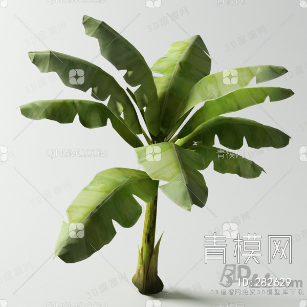 芭蕉树3D模型下载【ID:282629】