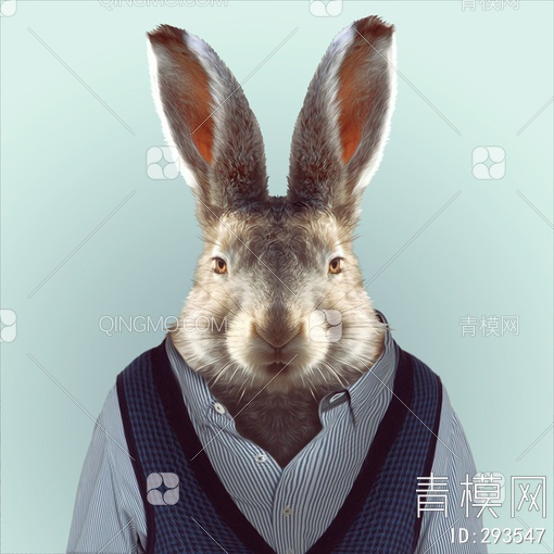 兔子头像贴图下载【ID:293547】