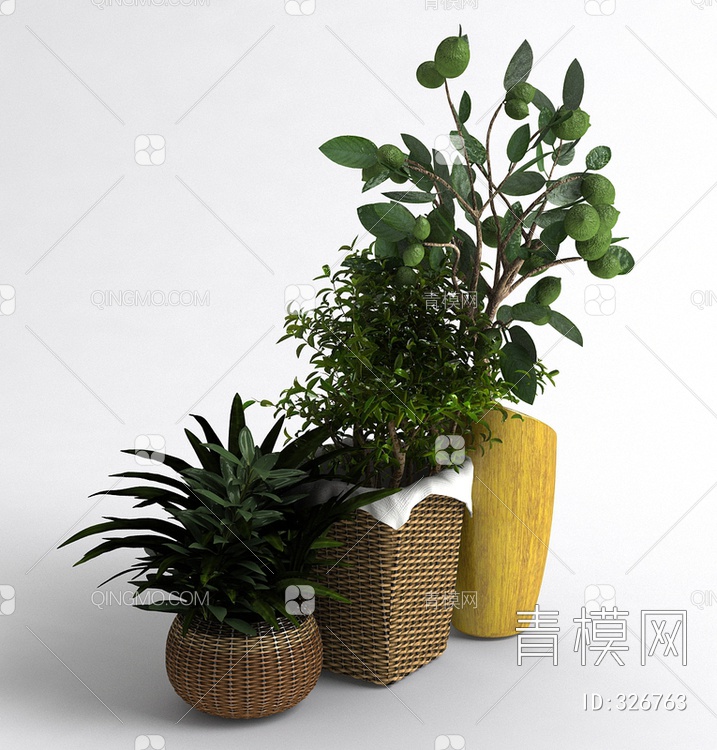 盆栽3D模型下载【ID:326763】