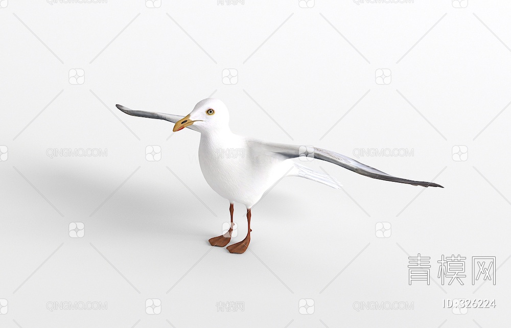 海鸥3D模型下载【ID:326224】