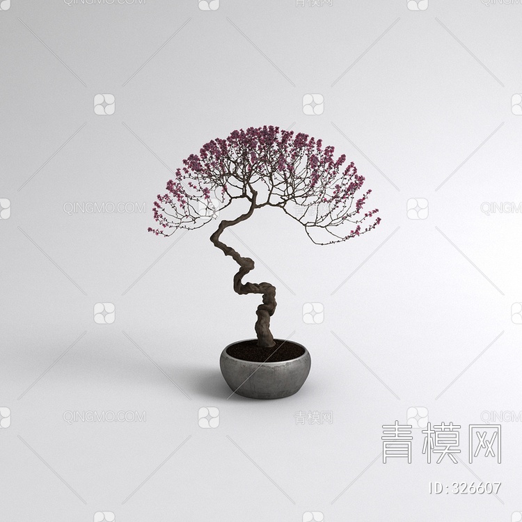 盆栽植物花3D模型下载【ID:326607】