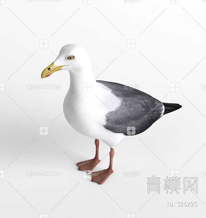 海鸥3D模型下载【ID:326225】