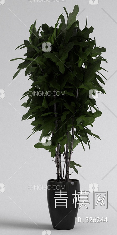 盆栽3D模型下载【ID:326244】