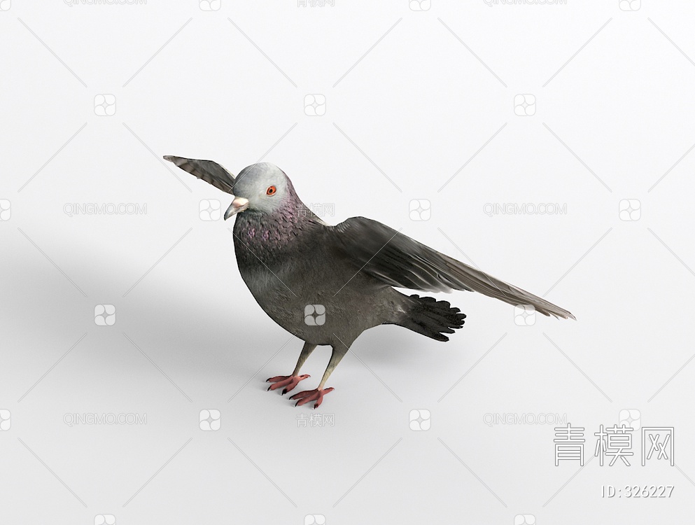 鸽子3D模型下载【ID:326227】