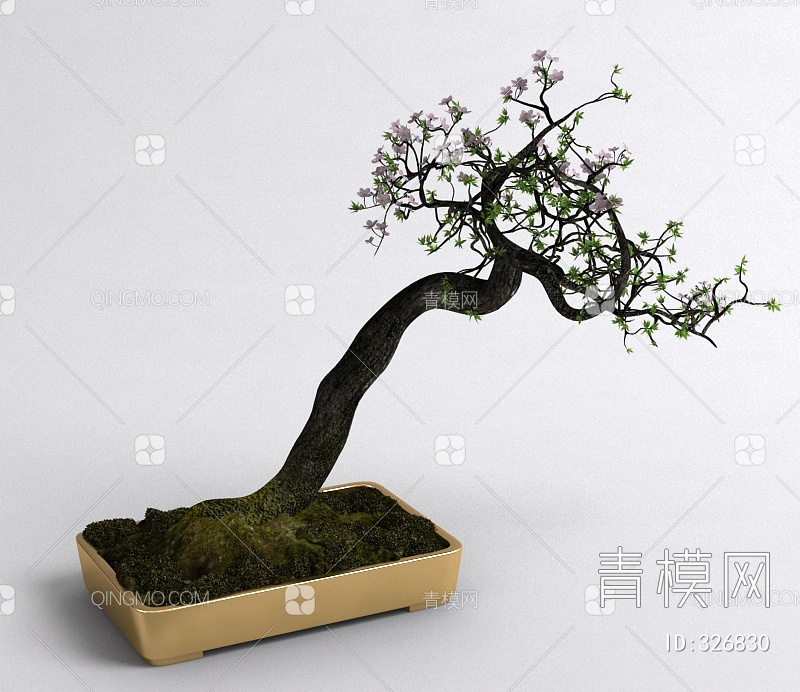 盆栽3D模型下载【ID:326830】
