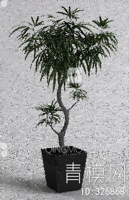 盆栽3D模型下载【ID:326868】