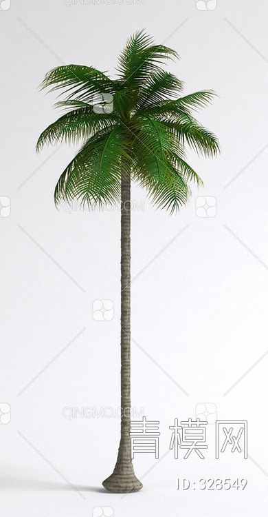 椰子树3D模型下载【ID:328549】