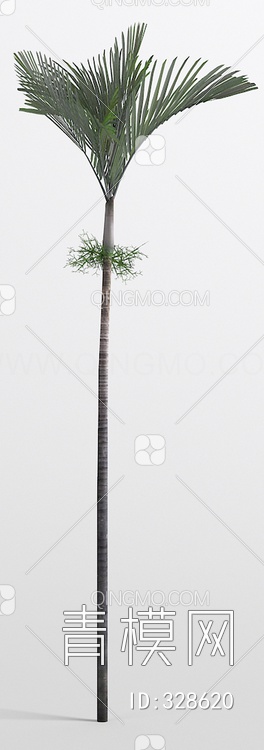 棕榈3D模型下载【ID:328620】