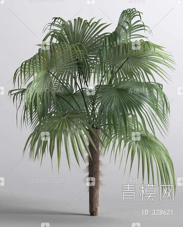 椰树3D模型下载【ID:328621】