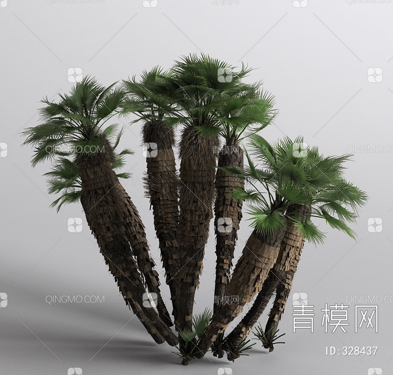 棕榈3D模型下载【ID:328437】