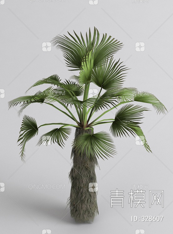 棕榈3D模型下载【ID:328607】