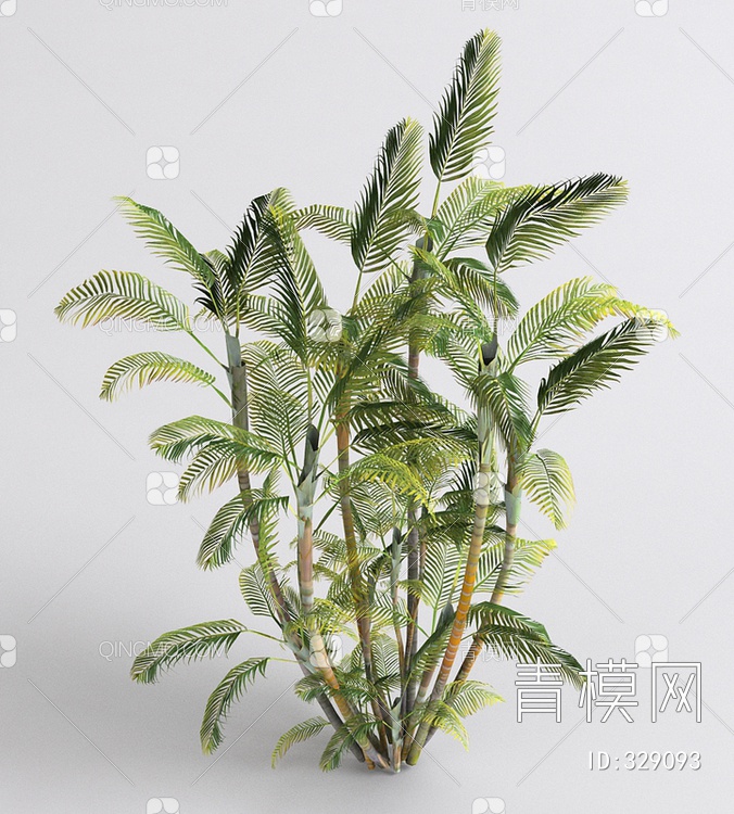 棕榈3D模型下载【ID:329093】