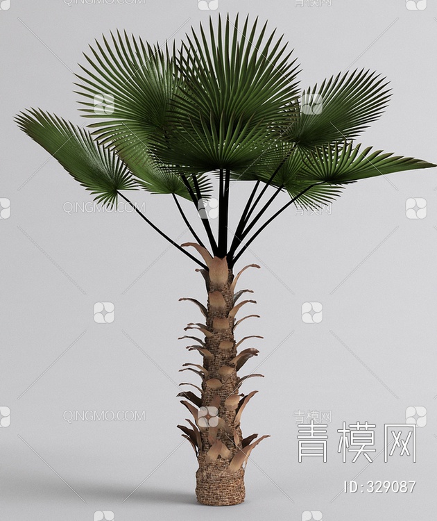 棕榈3D模型下载【ID:329087】