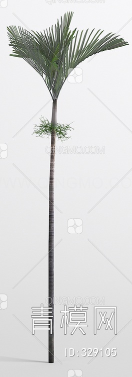 棕榈3D模型下载【ID:329105】