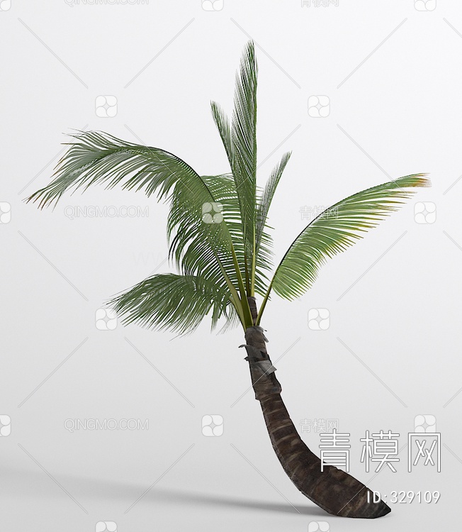 棕榈3D模型下载【ID:329109】