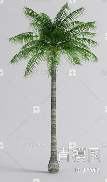 椰树3D模型下载【ID:329086】