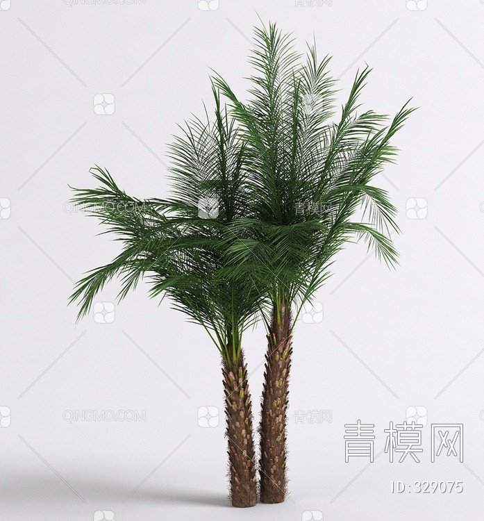 棕榈3D模型下载【ID:329075】