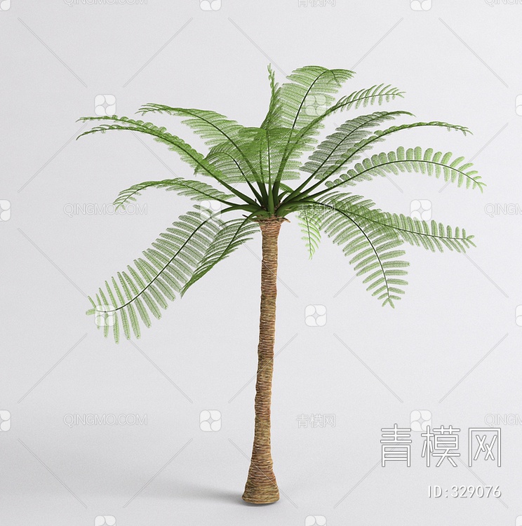 椰树3D模型下载【ID:329076】