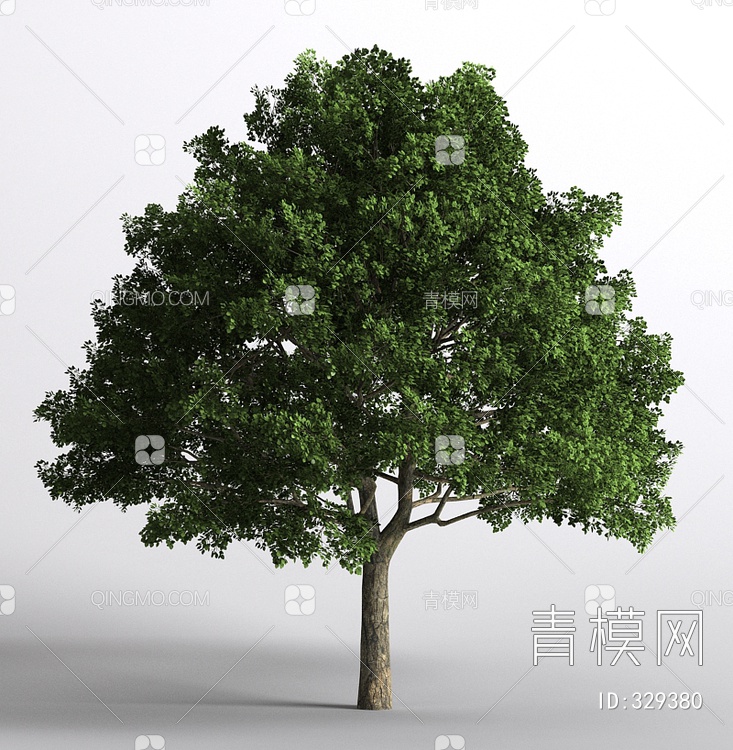 树3D模型下载【ID:329380】