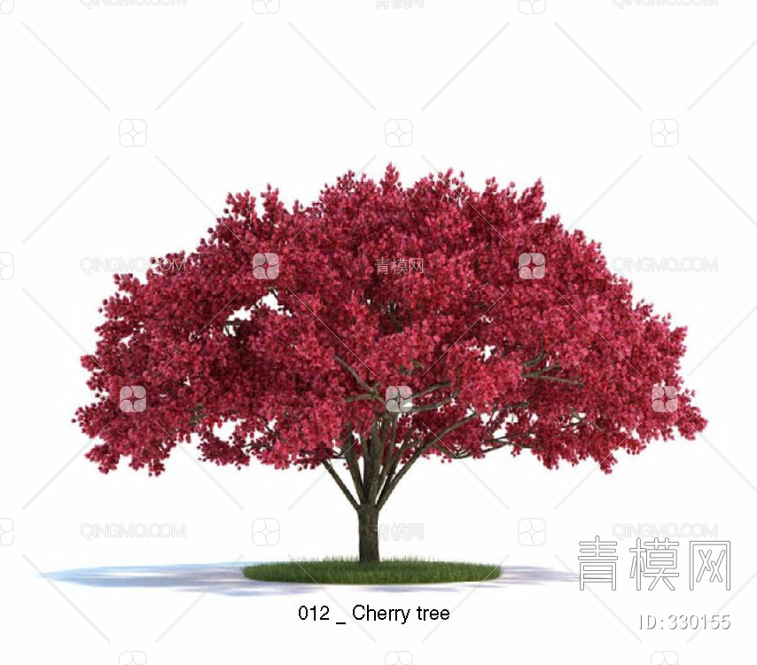 樱桃树3D模型下载【ID:330155】