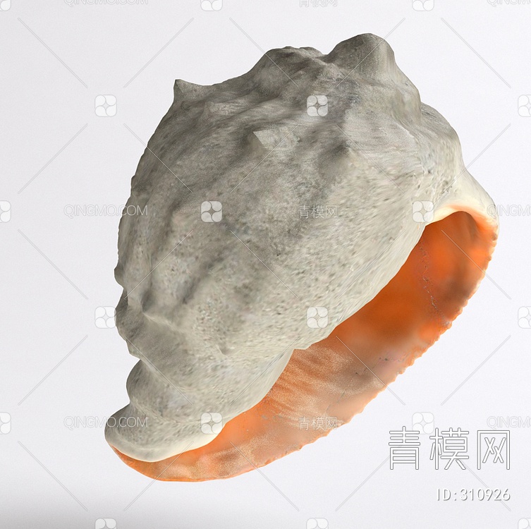 海螺3D模型下载【ID:310926】