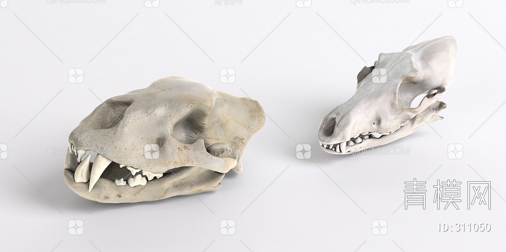 恐龙骨头化石3D模型下载【ID:311050】