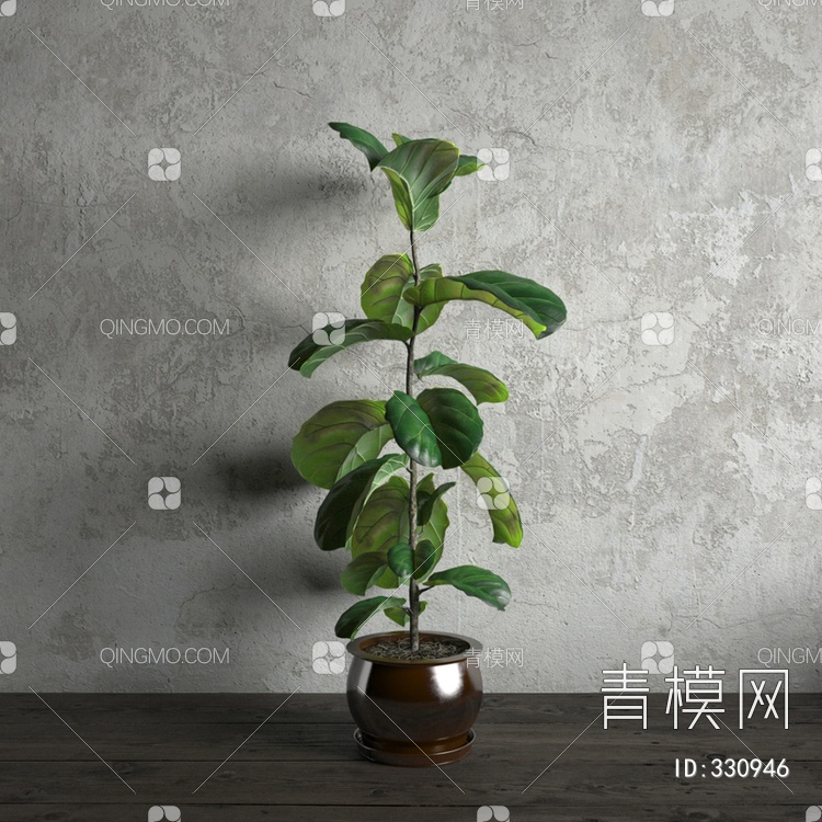 室内盆栽植物3D模型下载【ID:330946】