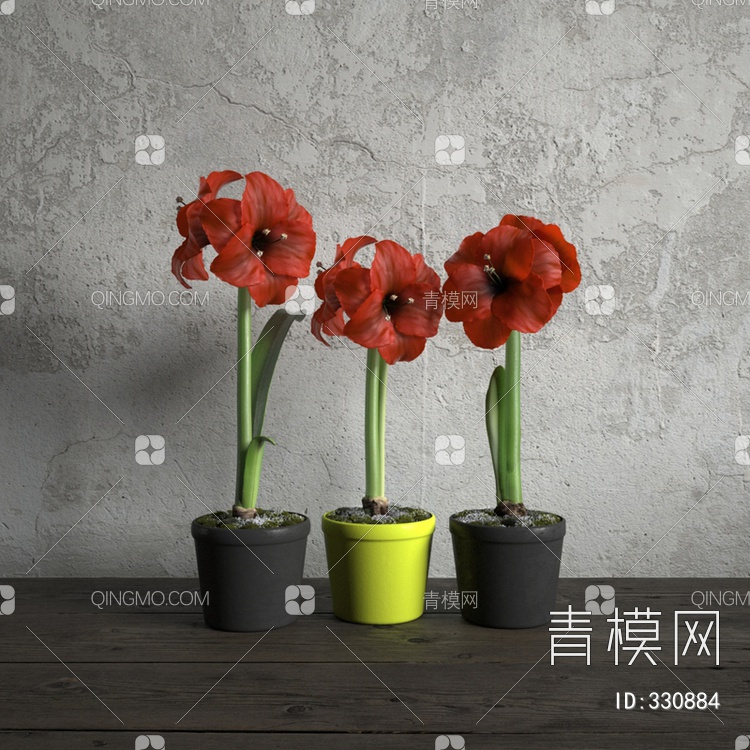 室内盆栽植物3D模型下载【ID:330884】