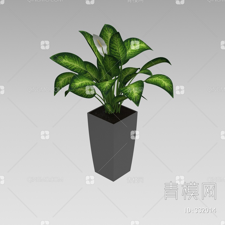 室内盆栽3D模型下载【ID:332014】