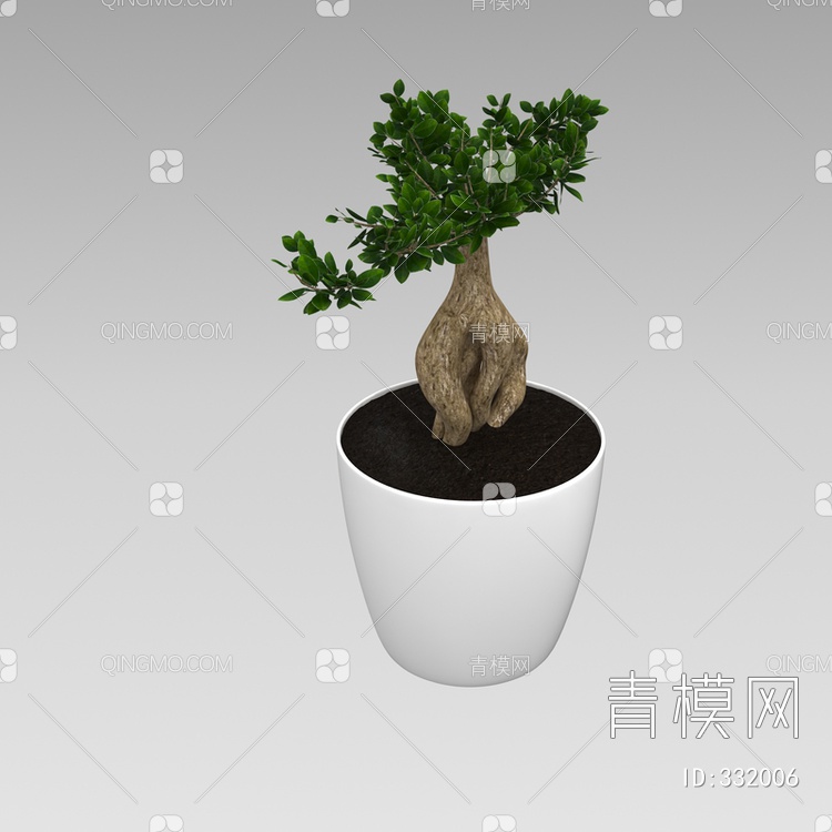 室内盆栽3D模型下载【ID:332006】