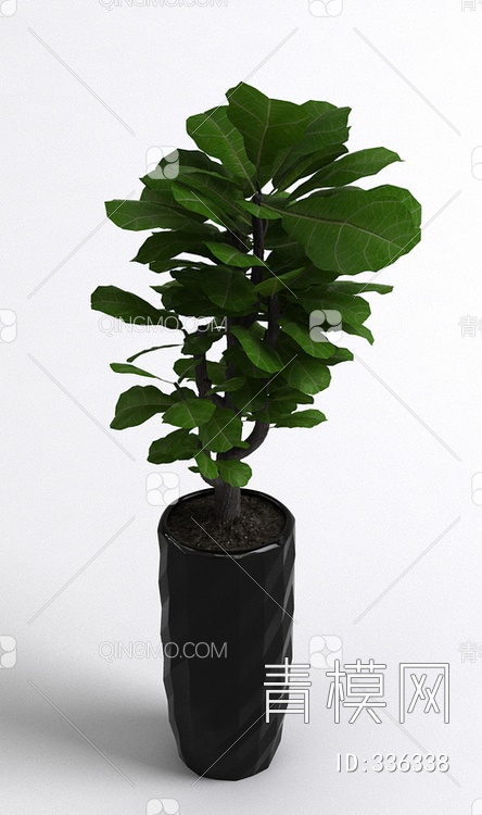 植物3D模型下载【ID:336338】