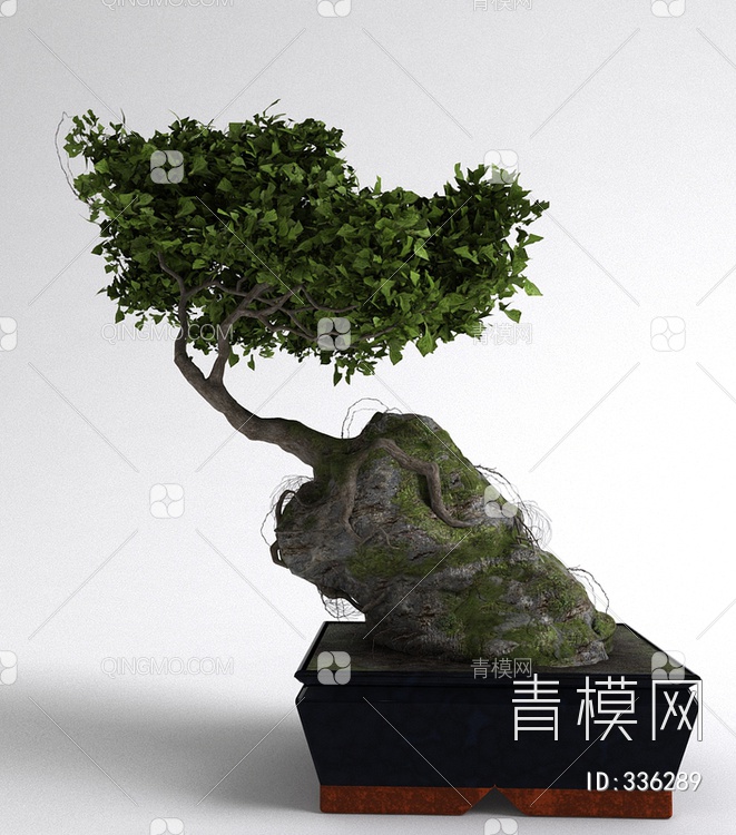 松树盆栽3D模型下载【ID:336289】