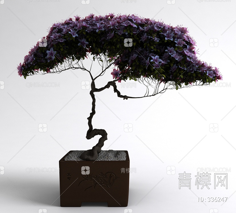 植物盆栽3D模型下载【ID:336247】