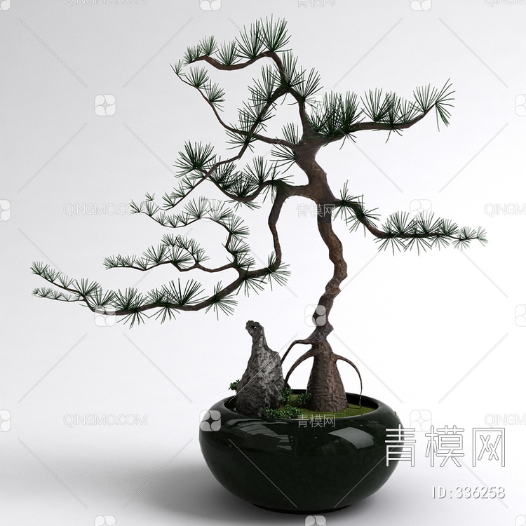 松树盆栽3D模型下载【ID:336258】