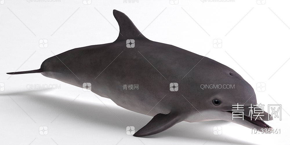 海豚3D模型下载【ID:336461】
