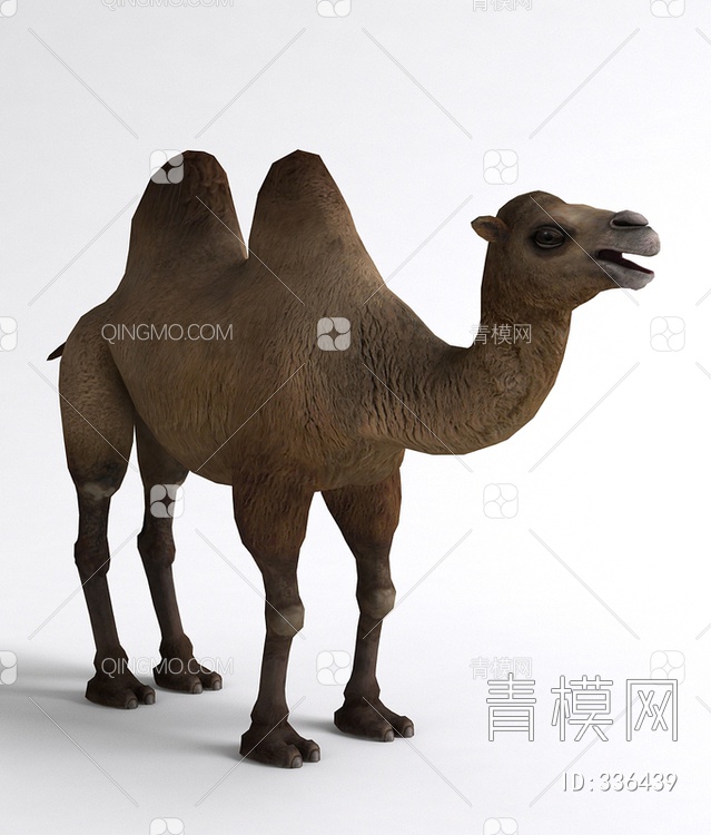 骆驼3D模型下载【ID:336439】