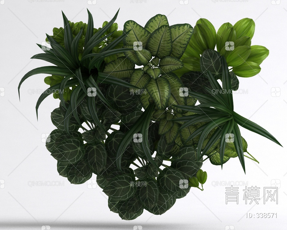 装饰绿植3D模型下载【ID:338571】
