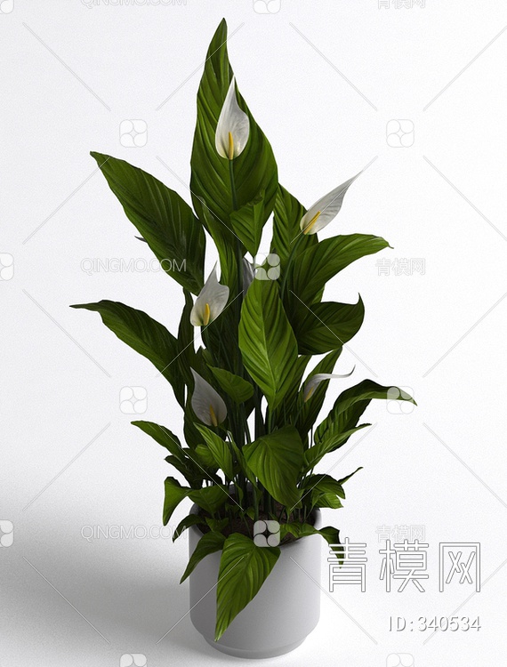 植物盆栽3D模型下载【ID:340534】