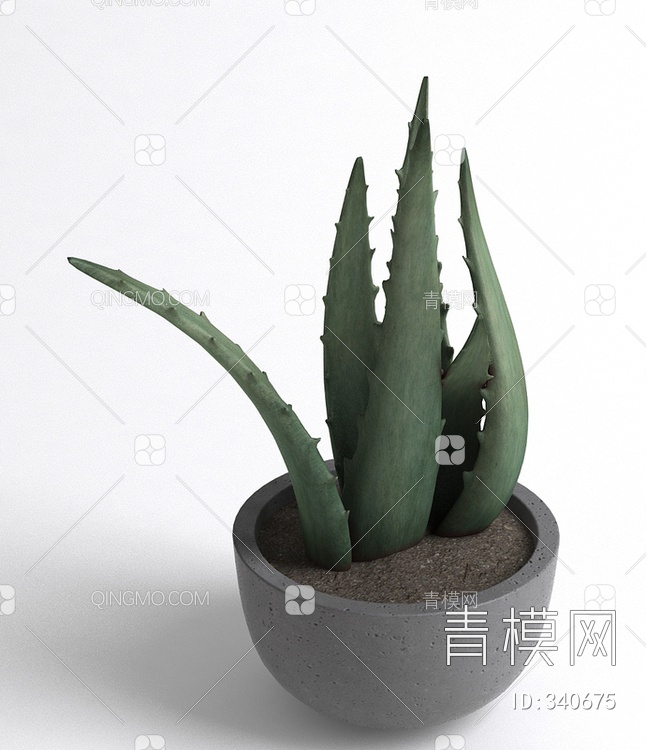 芦荟盆栽3D模型下载【ID:340675】