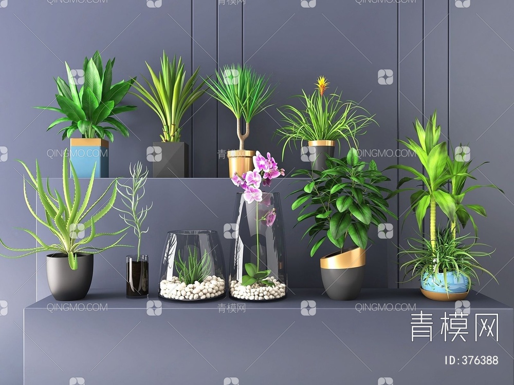 植物盆景3D模型下载【ID:376388】